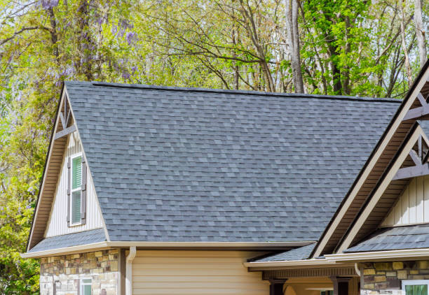 Best Asphalt Shingle Roofing  in Mancelona, MI